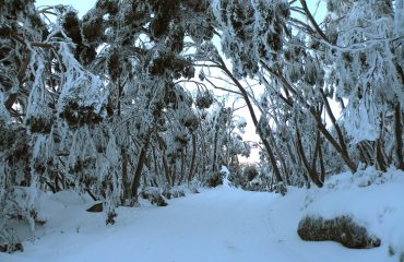 Mount Baw Baw