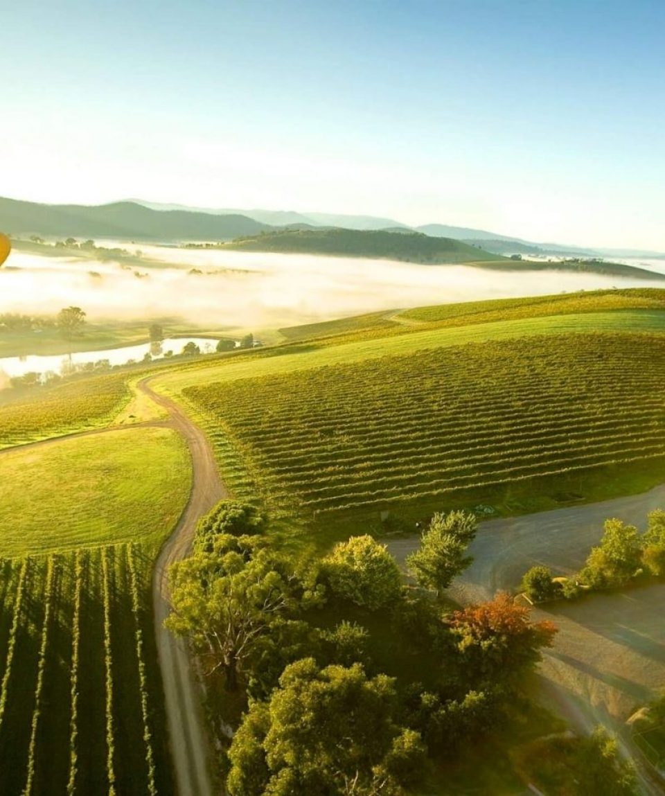 private tours yarra valley